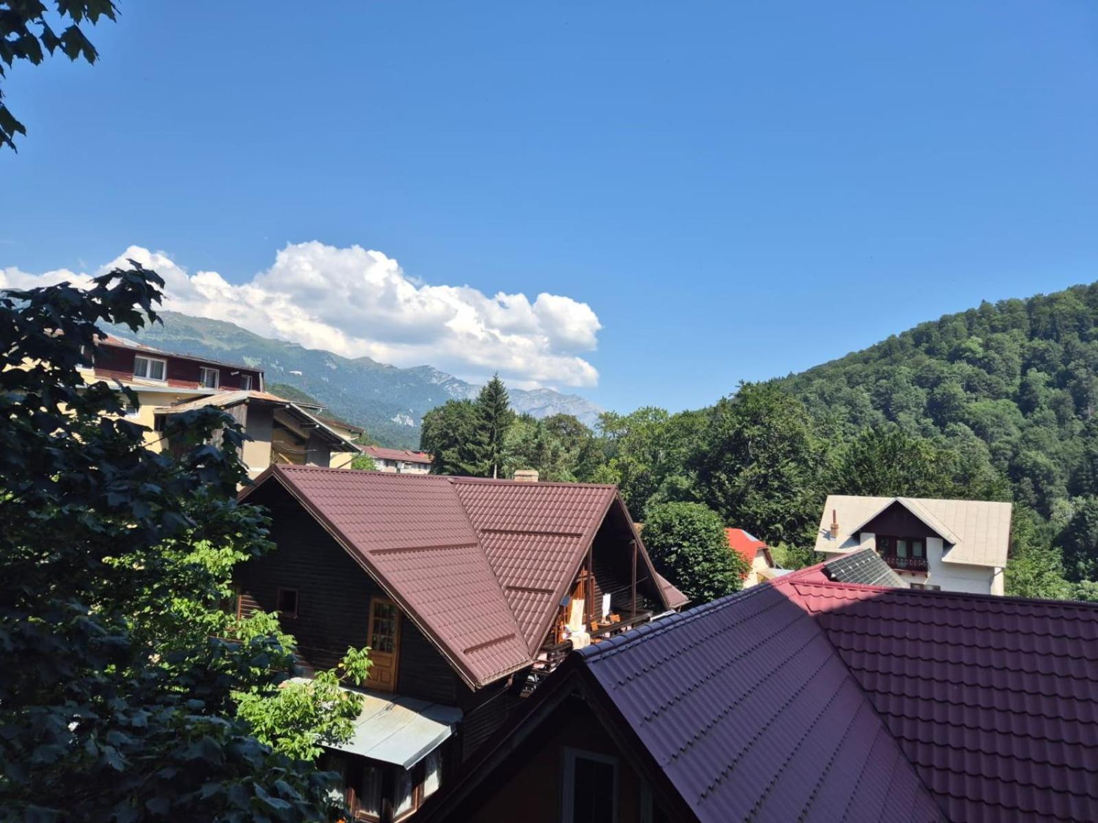 Luxroom In Greenfuture Sinaia Exterior foto